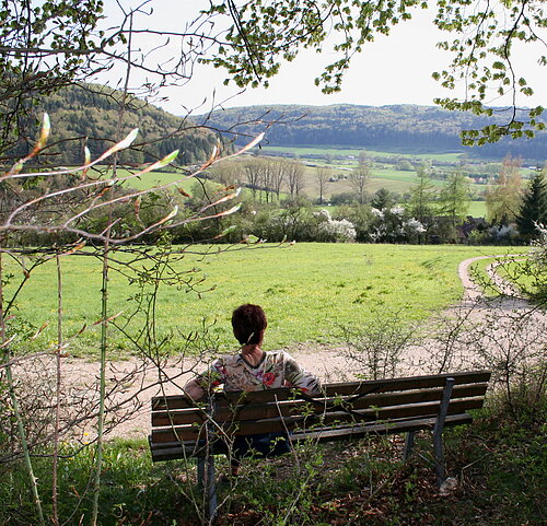 Wanderweg Nr. 10