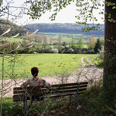 Wanderweg Nr. 10