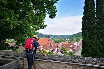 Ein Wanderer mit roten Rucksack steht an einer Mauer und lässt seinen Blick über Greding schweifen. Die Stadt ist von zwei Bäumen eingerahmt.