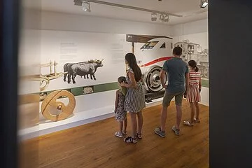 Archäologie Museum Greding                                                                                                 <<<<<<<<<<<<<<<<<<<<<<<<<<<<<