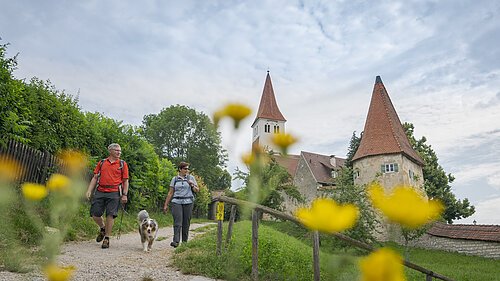 Ein Mann mit roten Shirt und eine Frau mit gestreiftem Shirt wandern zusammen mit ihrem Hund bei Greding. Im Hintergrund ist die Basilika St. Martin zu sehen. Links begleiten sie grüne Sträucher.