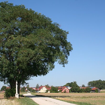 Ansicht auf Kaising