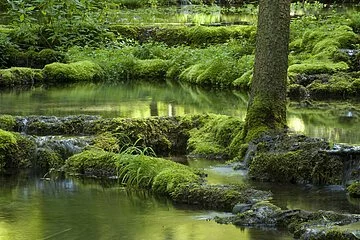 Kalksinterterrassen Kaisinger Tal
