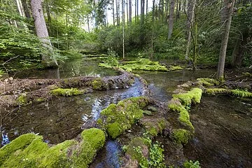 Sinterterrasse im Kaisinger Tal