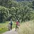 Radweg Greding-Metterndorf
