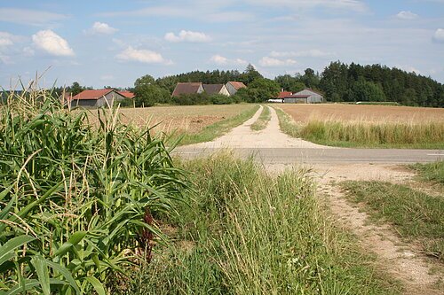 Ansicht Birkhof