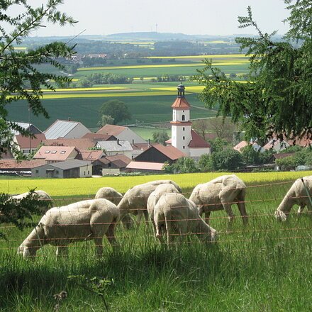 Ausblick auf Euerwang