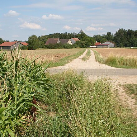 Ansicht Birkhof