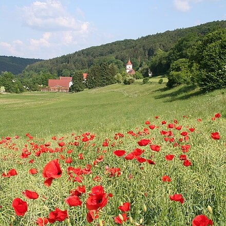 Ansicht von Heimbach