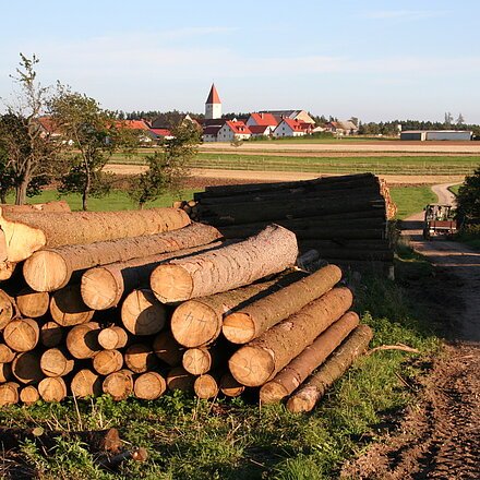 Ansicht auf Schutzendorf