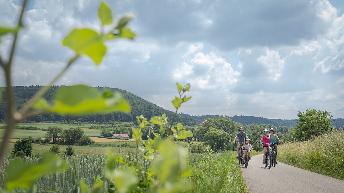Radweg Greding-Metterndorf