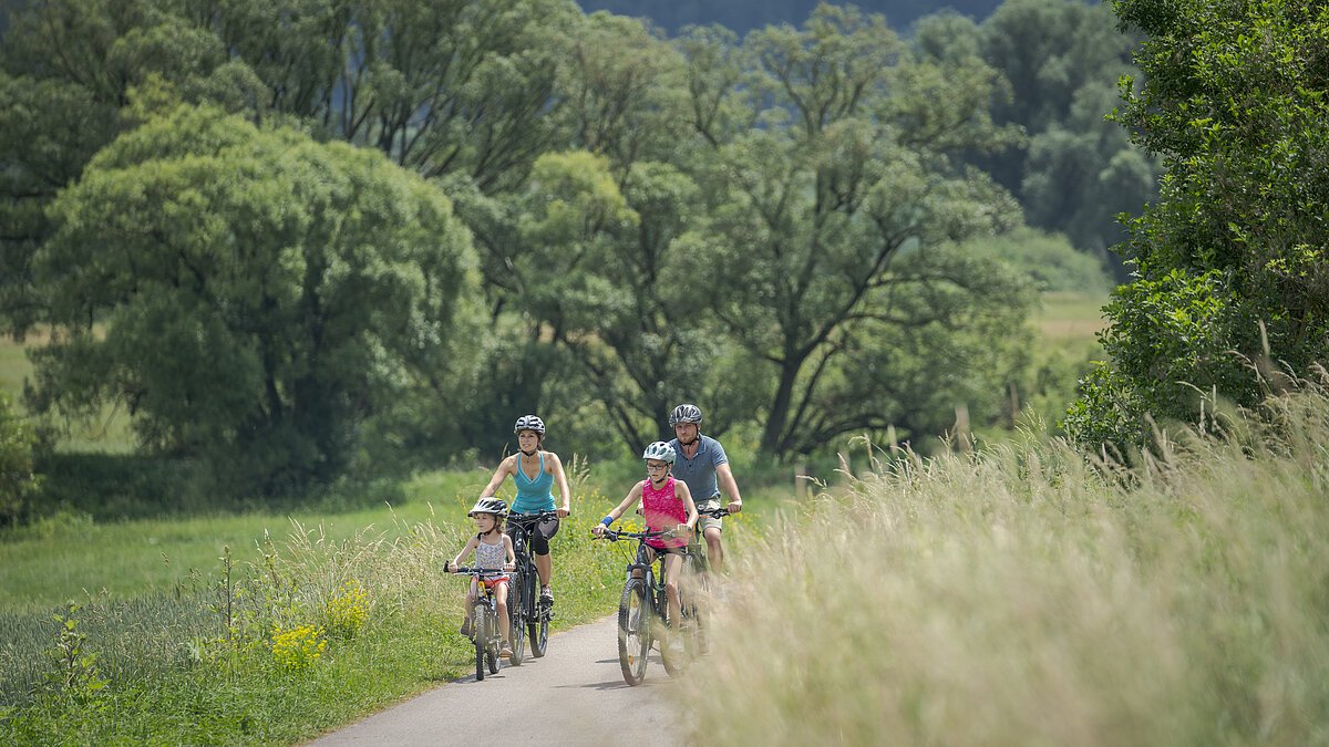 Radweg Greding-Metterndorf