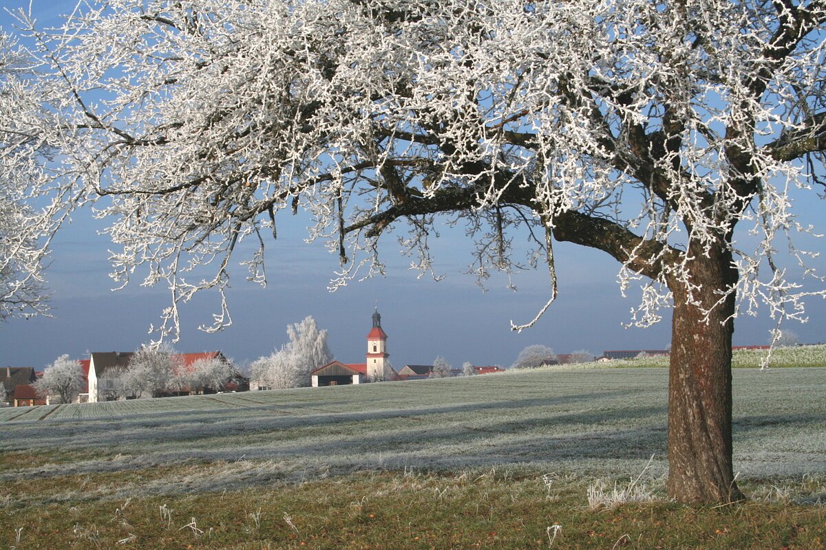 Euerwanger Bühl Runde
Rundwanderweg Nr. 2
