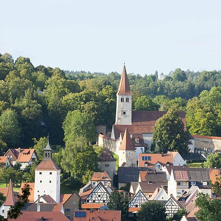 Blick auf die Gredinger Altstadt mit der Basilika St. Martin im Hintergrund.