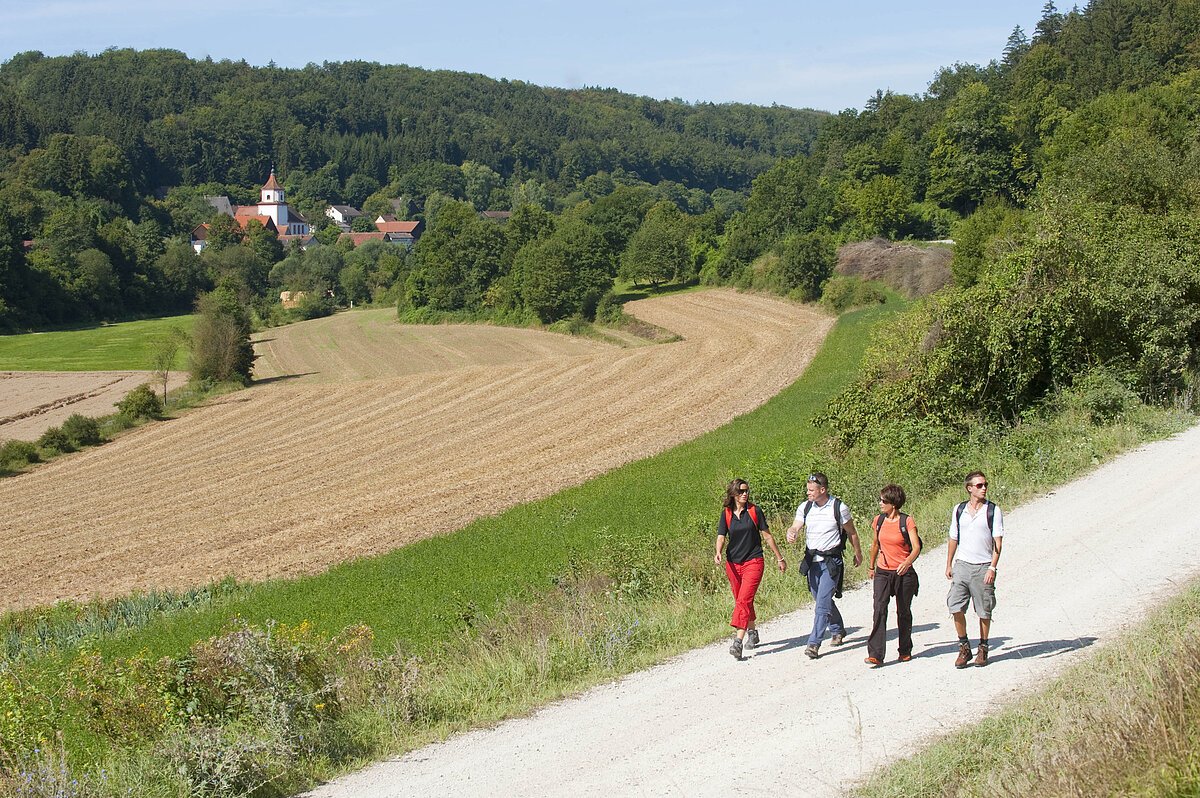 Wanderweg durch das Heimbachtal