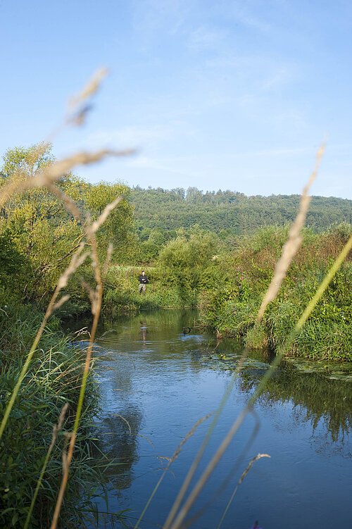 Das Foto zeigt einen Angler beim Fischen an der Schwarzach