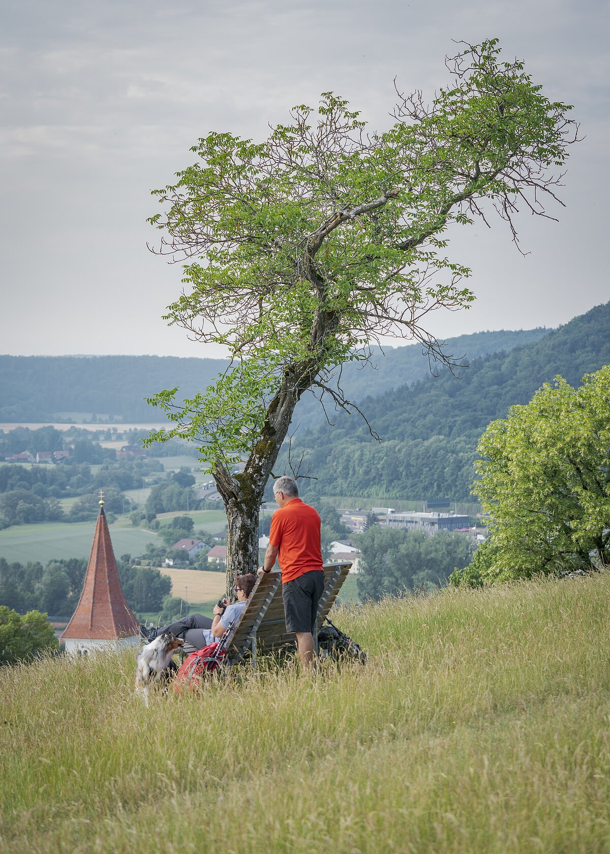 Ausblick über Greding vom Aussichtspunkt des Gredinger Kreuzweges.