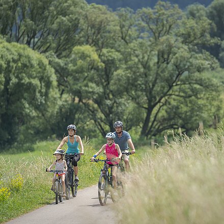 Eine Familie beim Fahrradausflug auf dem Radweg Greding-Mettendorf.