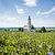 Kirche mit Turm hinter blühendem Feld unter blauem Himmel mit Wolken in ländlicher Umgebung