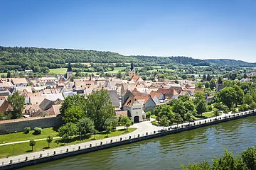Blick auf eine Stadt mit roten Dächern, Flussufer, Bäumen und bewaldeten Hügeln im Hintergrund bei klarem Himmel.