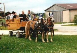 Zwei Pferde ziehen eine Kutsche mit mehreren sitzenden Personen auf einer Wiese vor Gebäuden.