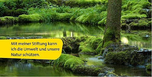 Bürgerstiftung Themenbild Natur Grüner moosbedeckter Wald mit klarem Wasser und Baumstamm, Text über Naturschutz auf gelbem Hintergrund.