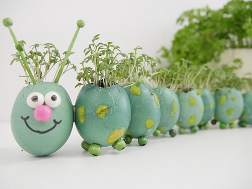 Kräuterraupe Grüne Raupe aus bemalten Eierschalen mit Pflanzensprossen als Haare auf weißem Untergrund