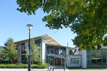 Grüner Park mit Bank und Baum vor modernem Gebäude bei klarem Himmel und Sonnenschein.