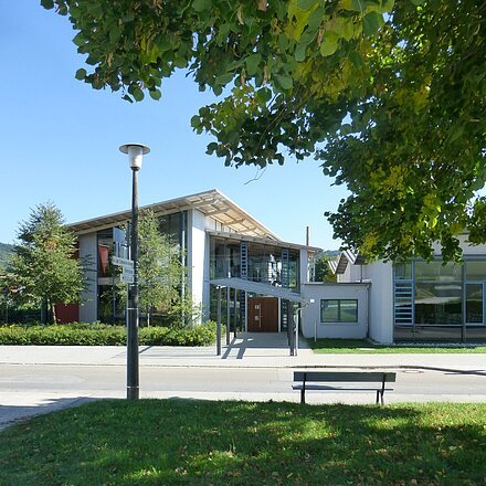 Grüner Park mit Bank und Baum vor modernem Gebäude bei klarem Himmel und Sonnenschein.