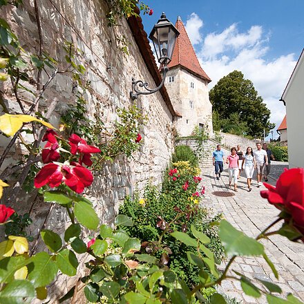 Rosensträucher entlang einer Steinmauer, fünf Personen gehen auf gepflastertem Weg bei sonnigem Himmel.
