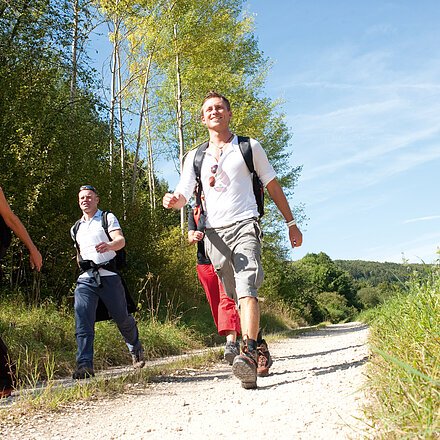 Vier Personen wandern auf einem sonnigen Waldweg mit Rucksäcken und Outdoor-Kleidung.